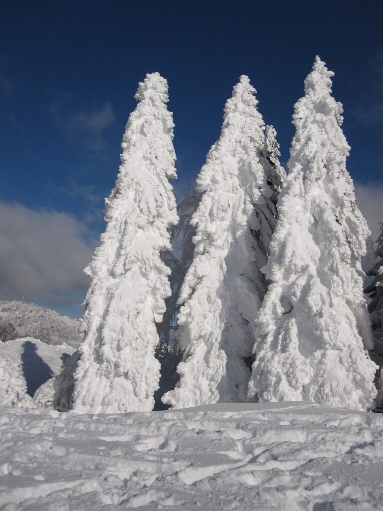 Non solo sci: 5 esperienze da provare in inverno in montagna