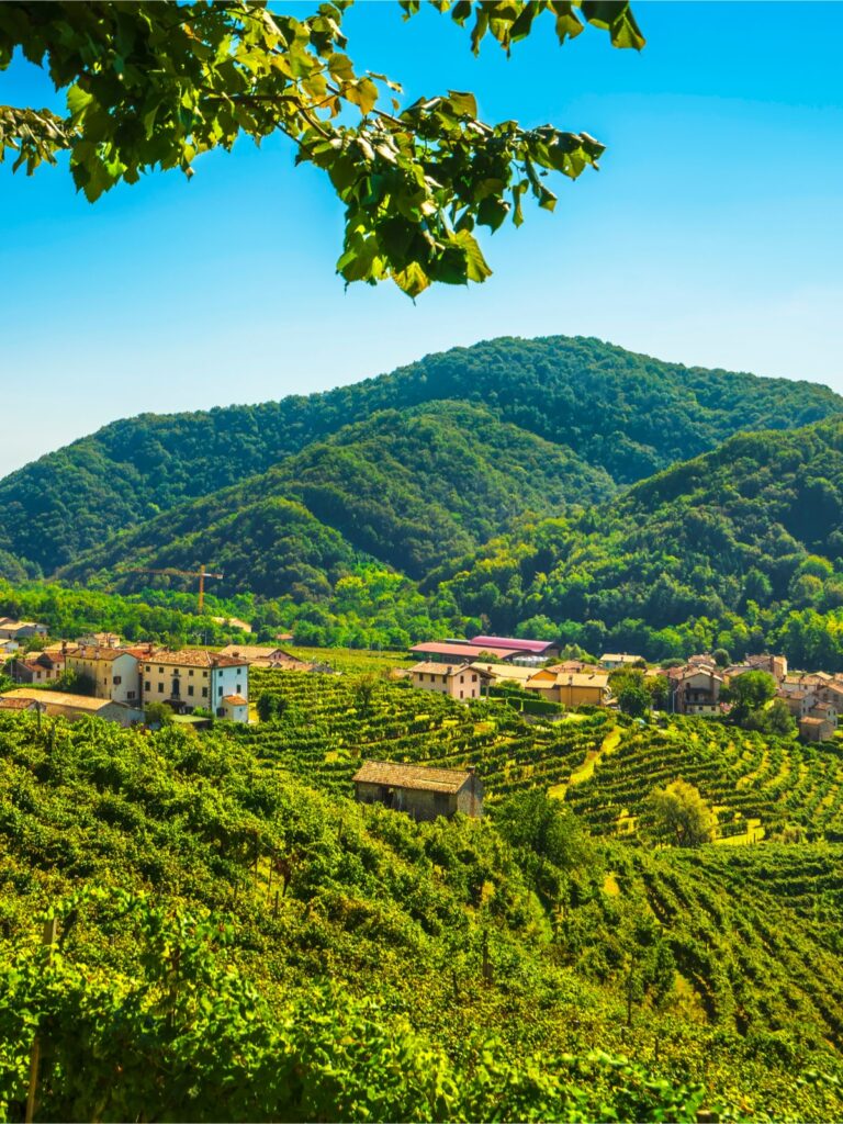 Storie di vitigni e vigneti: trekking tra le colline del Prosecco