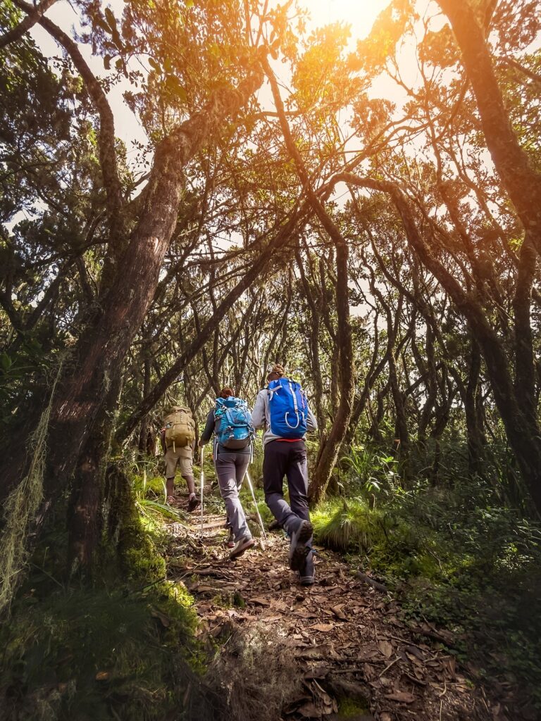 Come iniziare a fare trekking: 5 consigli pratici