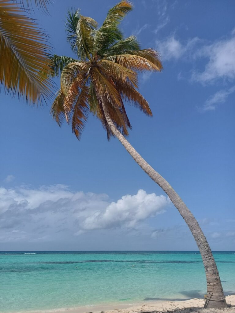 Saona insolita: un rinomato angolo di caraibi visto con occhi diversi