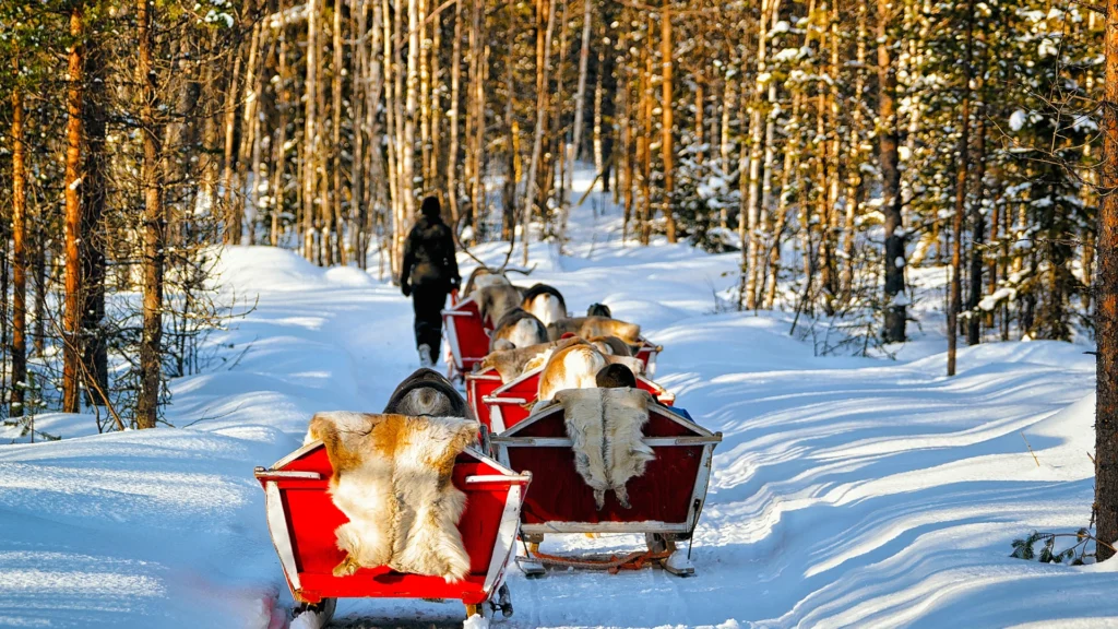 cosa fare in lapponia scoprire il mondo