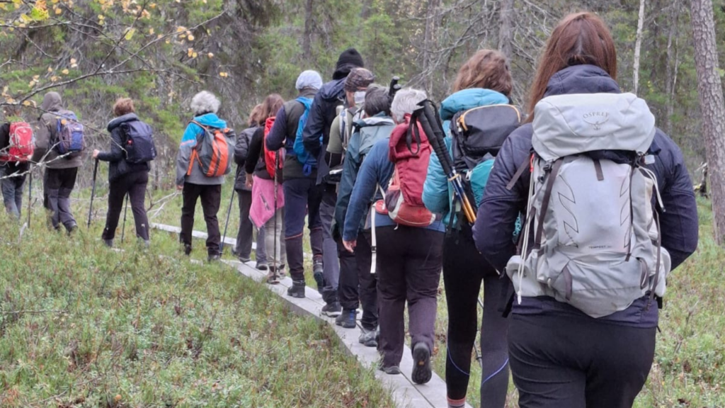 Trekking in Lapponia d'estate - Scoprire il Mondo