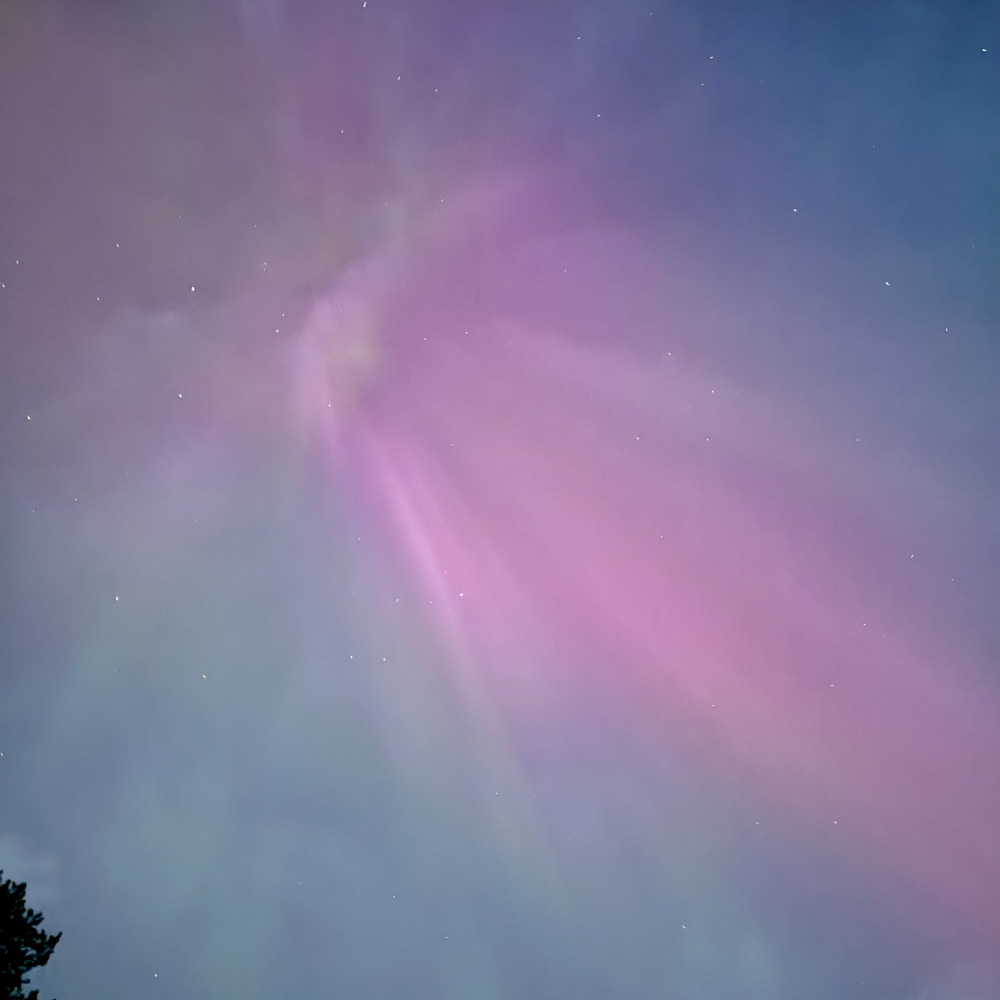 aurora boreale rosa e viola Lapponia cielo notturno - aurora boreale in Lapponia