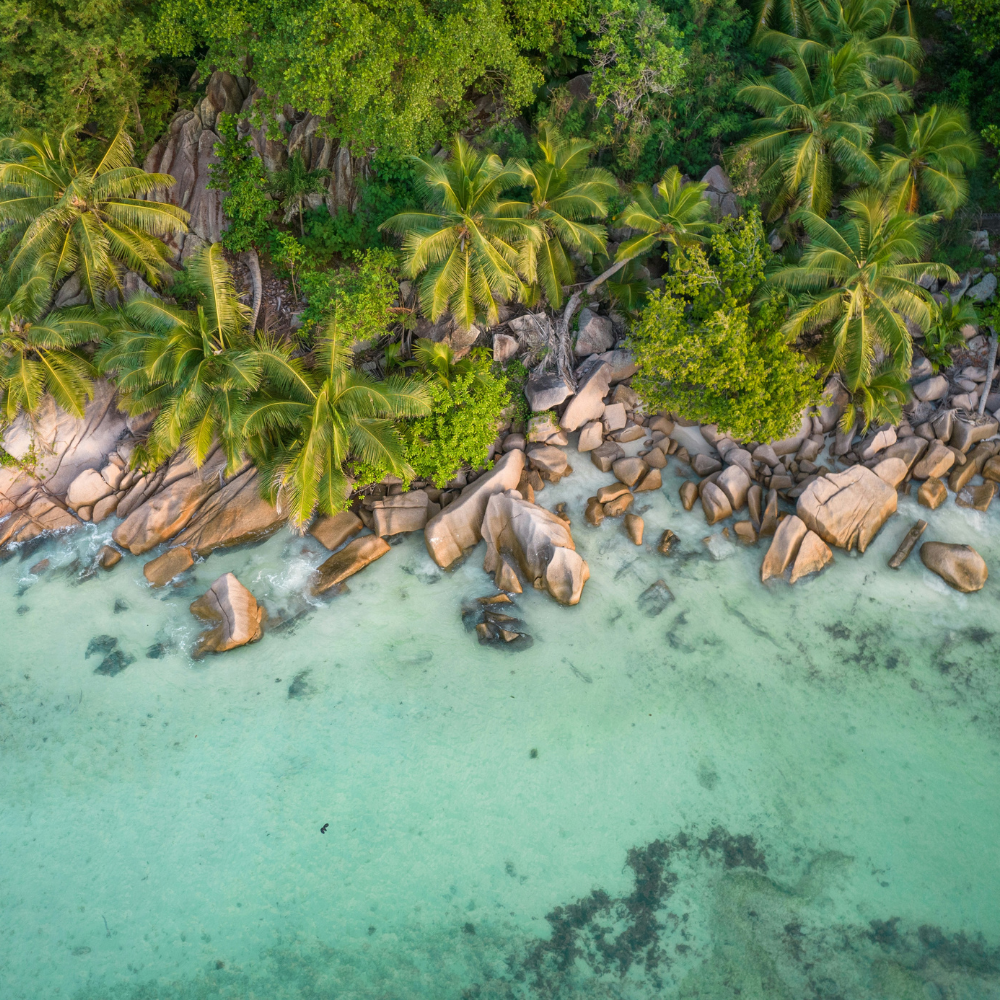 trekking seychelles foresta pluviale Mahé Morne Seychellois sentiero